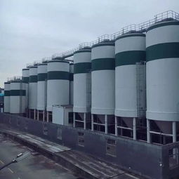 腳下百米深淵,最近溫州這條玻璃棧道火了 邀你來(lái)體驗(yàn)